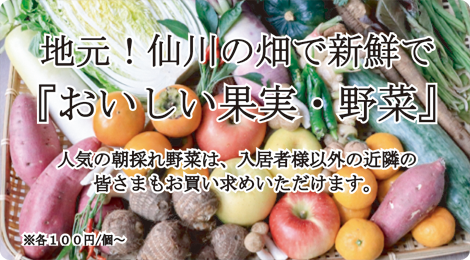 地元！仙川の畑で新鮮で『おいしい果実・野菜』