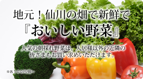地元！仙川の畑で新鮮で『おいしい野菜』